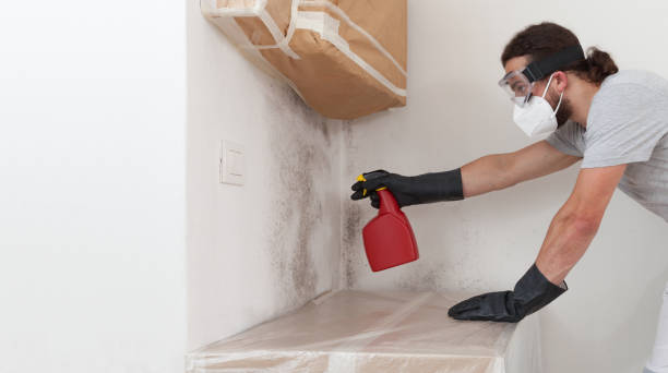 Professional Mold Testing technician working in Ludington, MI